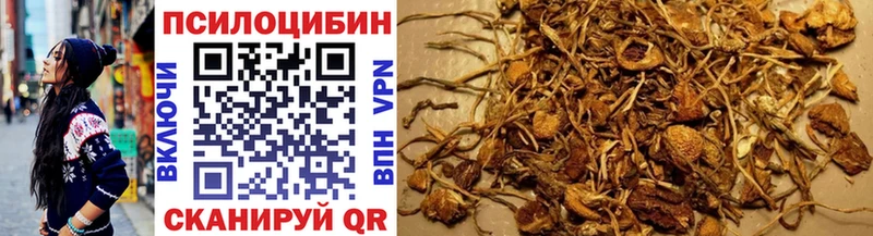 Псилоцибиновые грибы мицелий  Спасск-Рязанский 